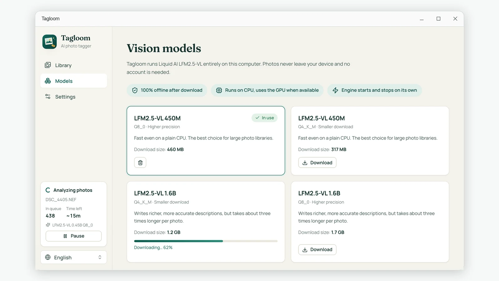 Vision models page with a compact model in use and a larger model downloading